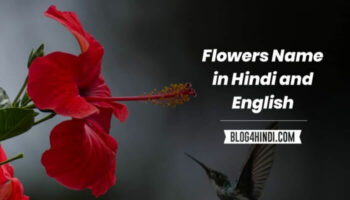 All Flowers Name in Hindi and English
