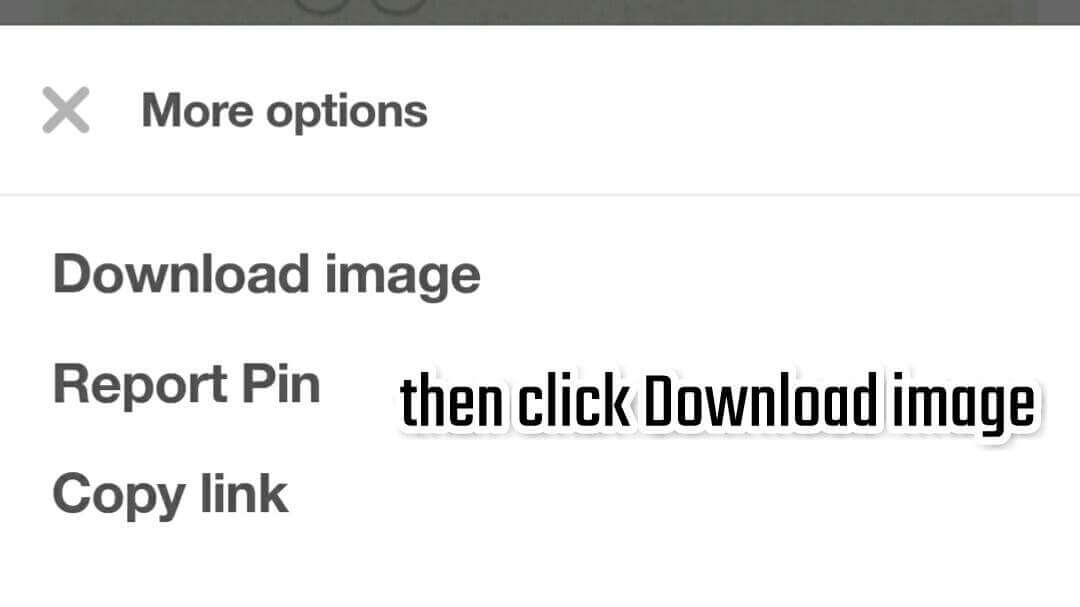 Pinterest image downloader 