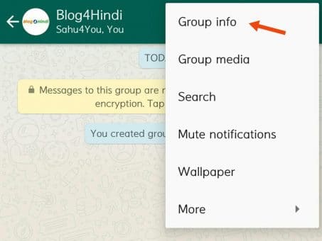 whatsapp group info